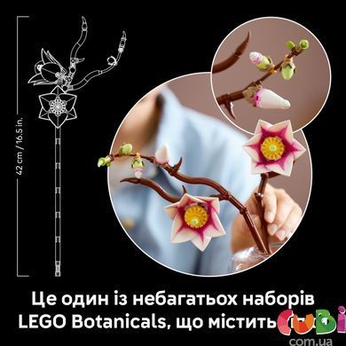 Конструктор Lego Botanicals Ветви магнолии (11510)