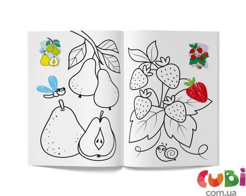 Книга Цветная. Фрукты