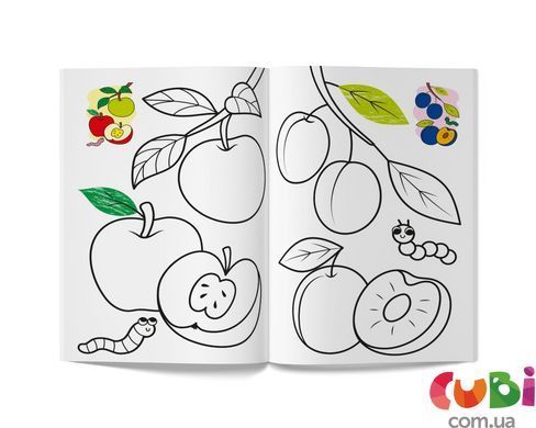 Книга Цветная. Фрукты