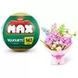 Конструктор в капсулі MAX серії "Bouquets" S1 &ndash; БУКЕТ ТРОЯНД (світло) (83248EGQ8)