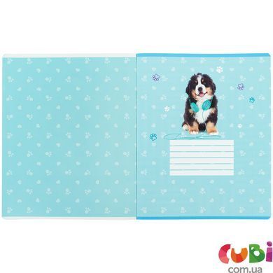 Зошит шкільний Kite Studio Pets (SP26-238), 24 аркуші, клітинка