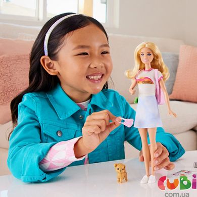 Лялька Barbie Мандрівниця, HJY18