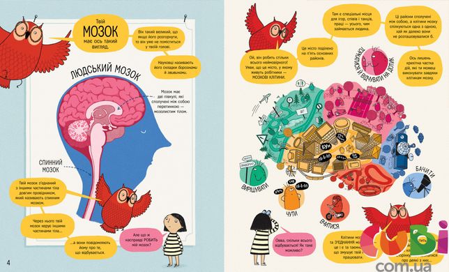 Книжка про мозок і те, як він працює Доктор Бетіна Іп