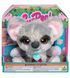 Интерактивная игрушка FurReal серии "My Mini's Little Hugs" - Крошка коала