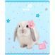 Зошит шкільний Kite Studio Pets (SP26-238), 24 аркуші, клітинка