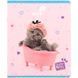 Зошит шкільний Kite Studio Pets (SP26-238), 24 аркуші, клітинка