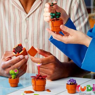 Конструктор дитячий Lego Мініатюрні рослини, 10329