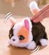 Интерактивная игрушка FURREAL серии "My Mini's" &ndash; МАЛЕНЬКИЙ КОТЕНОК, комбинированый