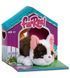 Интерактивная игрушка FURREAL серии "My Mini's" &ndash; МАЛЕНЬКИЙ КОТЕНОК, комбинированый