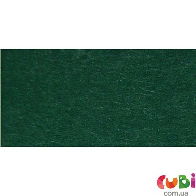 Бумага для дизайна, Fotokarton A4 (21 29.7см), №58 хвойно-зеленый, 300г м2, Folia (4256058)