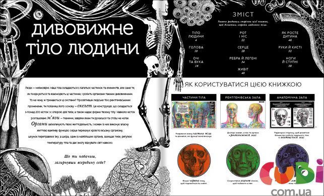 Скрытый мир человеческого тела Кейт Дэвис