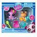 Ігровий набір LITTLEST PET SHOP - ПОЛЮВАННЯ НА СКАРБИ
