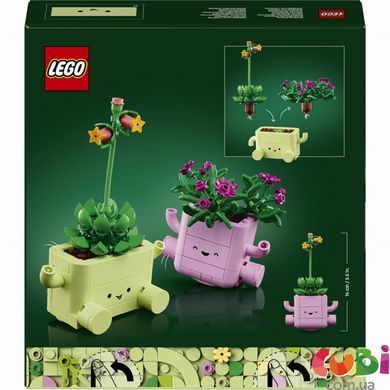 Конструктор Lego Botanicals Рослини, що гойдаються (11506)