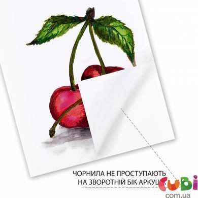 Скетчбук SANTI Fresh А4, 20 аркушів, склейка, 130г м2 (743214)