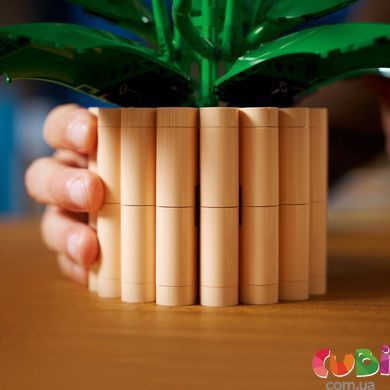 Конструктор Lego Botanicals Спатифиллум (11504)