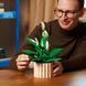 Конструктор Lego Botanicals Спатифиллум (11504)