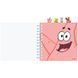 Блокнот з розділювачами на спіралі Sponge Bob (SB26-278), 80 аркушів, клітинка, пластикова обкладинка