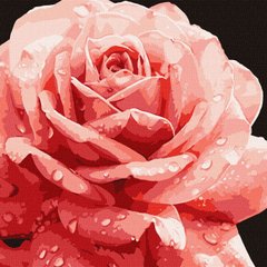 Набор для росписи по номерам. Совершенная роза 40х40см, KHO3236