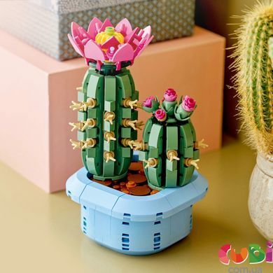 Конструткор Lego Botanicals Цветение кактуса (11509)