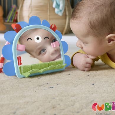 Портативное зеркальце 2-в-1 для малыша Fisher-Price (JHB45)