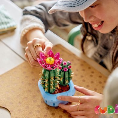 Конструткор Lego Botanicals Цветение кактуса (11509)