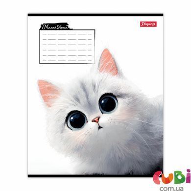 Зошит учнівський 1В Little cat А5 12 кос. (768736)