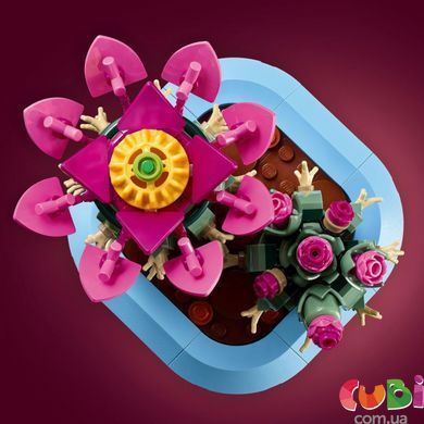 Конструткор Lego Botanicals Цветение кактуса (11509)