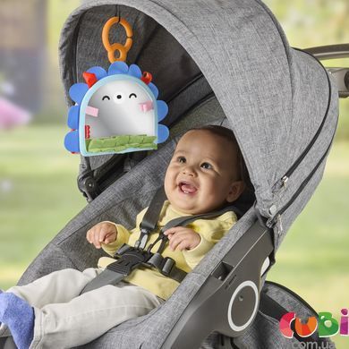 Портативное зеркальце 2-в-1 для малыша Fisher-Price (JHB45)