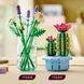 Конструткор Lego Botanicals Цветение кактуса (11509)