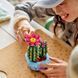 Конструткор Lego Botanicals Цветение кактуса (11509)