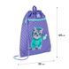 Школьный набор Kite Education Studio Pets SET_SP25-555S-2 (рюкзак, пенал, сумка), комбинированый