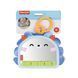 Портативное зеркальце 2-в-1 для малыша Fisher-Price (JHB45)