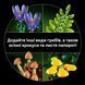 Конструктор Lego Лесные грибы Botanicals (11505)