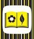 Контрастная книга для младенца : Ку-ку-си, А755014У