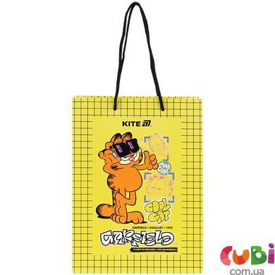 Пакет бумажный подарочный Kite, 18х24см, GF (GF25-265)
