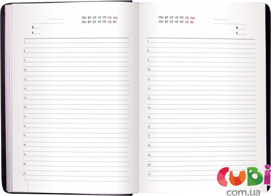 Дневник недатированный BUROMAX FANCY (BM.2059-04)