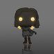 Ігрова фігурка FUNKO POP! серії Хлопаки - ЗІРОНЬКА (w CHASE) (48187), комбінований