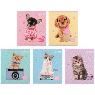 Тетрадь школьная Kite Studio Pets SP25-238, 24 листа, клетка