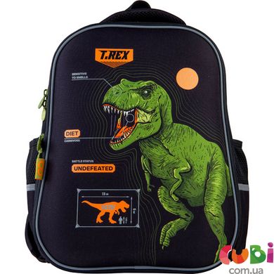 Рюкзак GoPack Education напівкаркасний 165-6 Dinosaur
