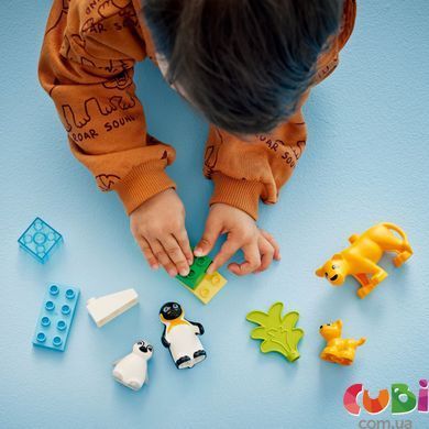 Конструктор Lego DUPLO Сімейство диких тварин: Пінгвіни та Леви (10442), комбінований