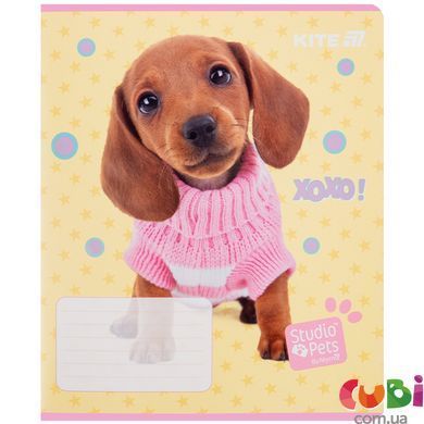 Зошит шкільний Kite Studio Pets SP25-234, 12 аркушів, лінійка