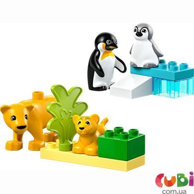 Конструктор Lego DUPLO Сімейство диких тварин: Пінгвіни та Леви (10442), комбінований