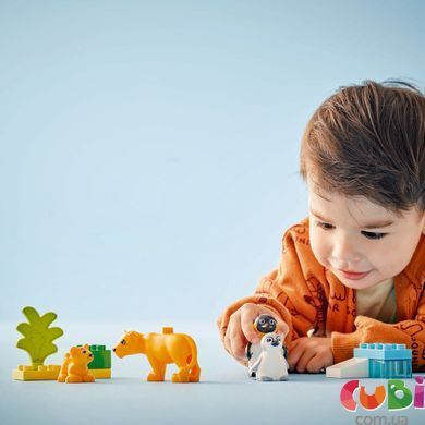 Конструктор Lego DUPLO Сімейство диких тварин: Пінгвіни та Леви (10442), комбінований