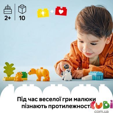 Конструктор Lego DUPLO Сімейство диких тварин: Пінгвіни та Леви (10442), комбінований