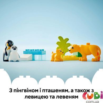Конструктор Lego DUPLO Сімейство диких тварин: Пінгвіни та Леви (10442), комбінований