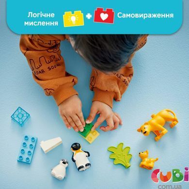 Конструктор Lego DUPLO Сімейство диких тварин: Пінгвіни та Леви (10442), комбінований