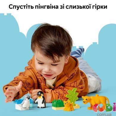 Конструктор Lego DUPLO Сімейство диких тварин: Пінгвіни та Леви (10442), комбінований