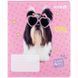 Зошит шкільний Kite Studio Pets SP25-234, 12 аркушів, лінійка