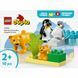 Конструктор Lego DUPLO Сімейство диких тварин: Пінгвіни та Леви (10442), комбінований