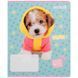 Зошит шкільний Kite Studio Pets SP25-234, 12 аркушів, лінійка